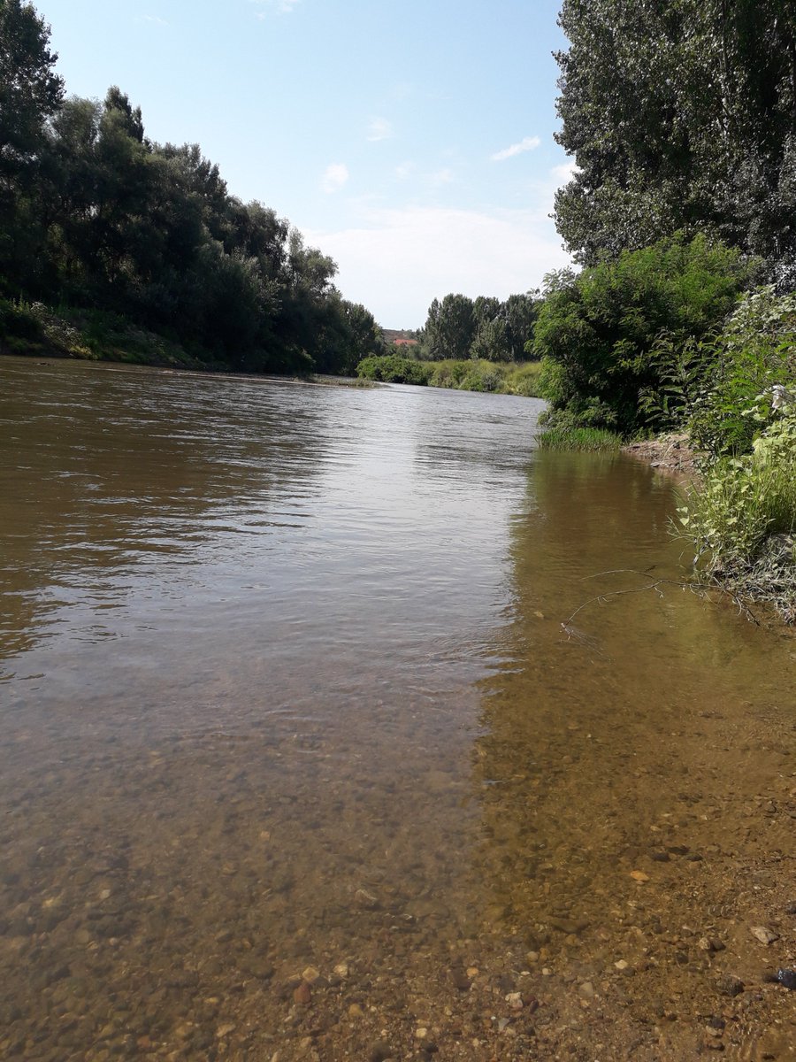 napsihijatrija's tweet image. #timeformyself #sundaymeditation #bytheriver #enjoy