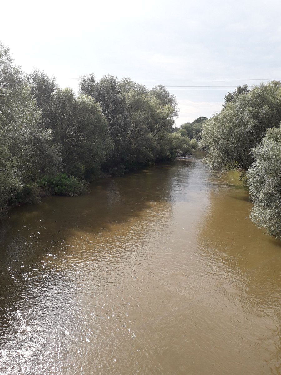 napsihijatrija's tweet image. #timeformyself #sundaymeditation #bytheriver #enjoy