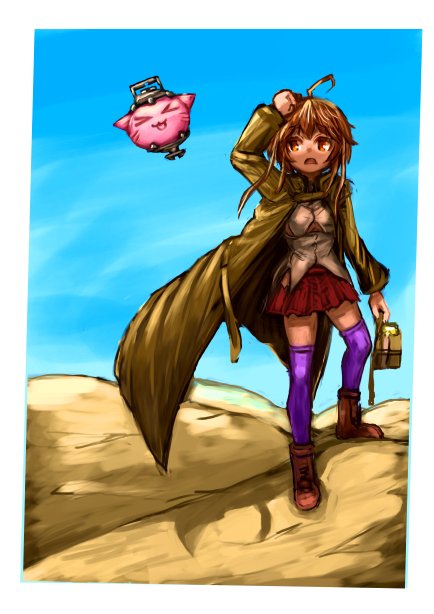 最近の、せっそうがぬえ・・・気力がほしい 