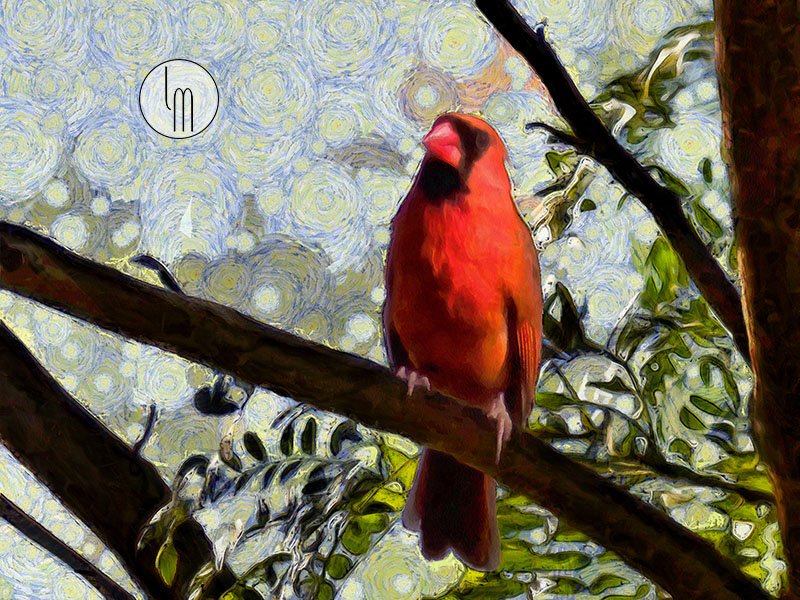 Lesislie's tweet photo. 'Cardinal Knowledge' by Leslie Montgomery
https://t.co/cW41SmiLMb
#cadinal #smallbird #digitalart #digitalartist #redbird #red #colourful #bright https://t.co/2aJWHqGF9q