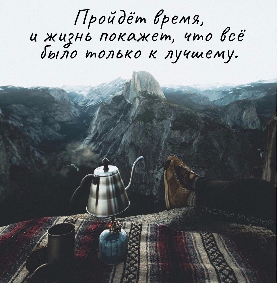 Мудрость веков (@delaisam) on Twitter photo 