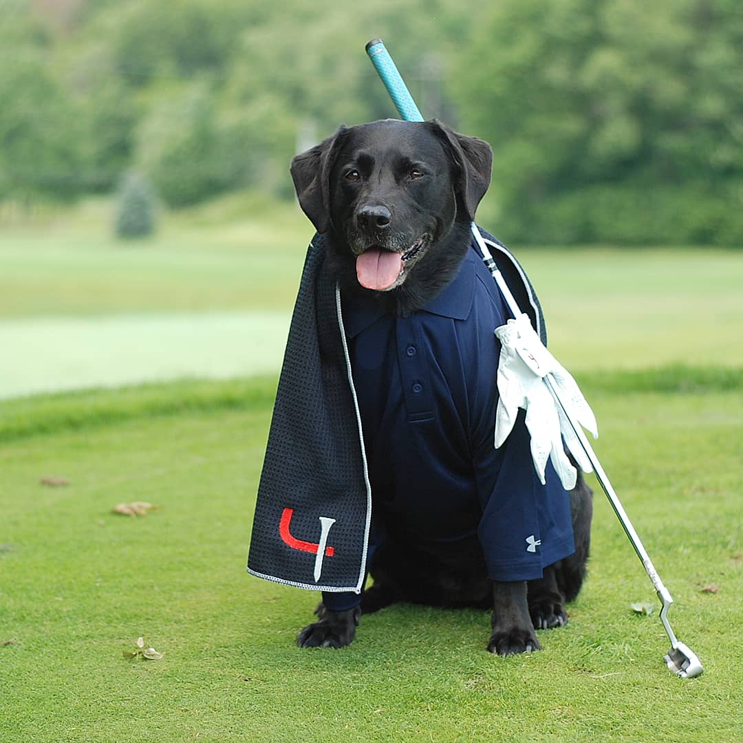 Lucy & Emily tweet media