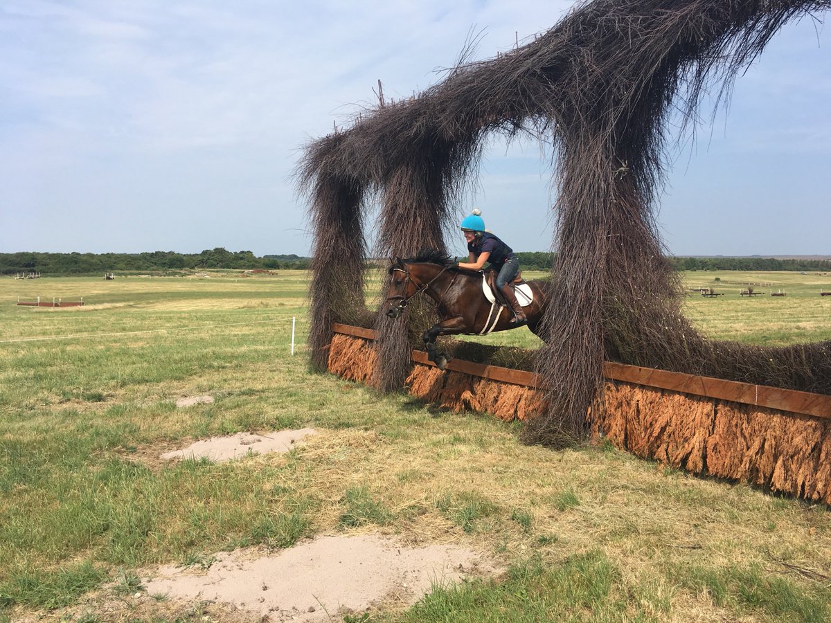 Baby horse training today <a href="/LarkhillEquest/">Larkhill Equestrian</a> over our new 60-70cm track