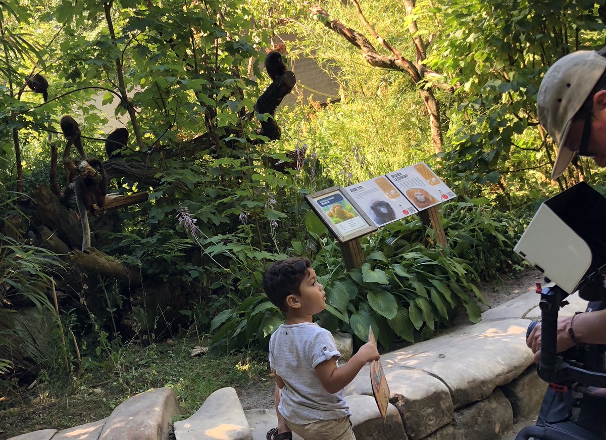 Mascha Simons tweet media