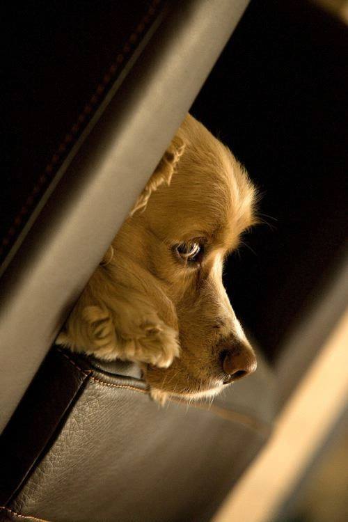 Esse olhar...💗

Via:Graciosa Página