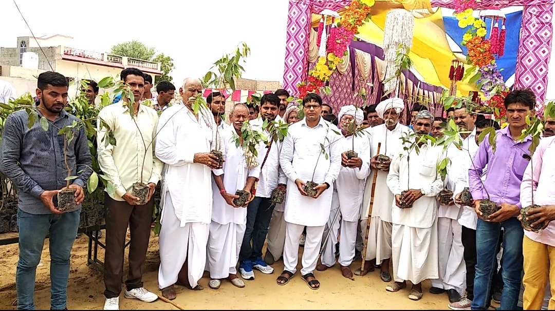 HabitatHealer's tweet photo. In desert trees can be grown only through regular care, #Familialforestry ensures this regularity. Green wedding is an effective way through which #Familialforestry inculcates green sense in communities.
Thanks to Beniwal family of desert vilg Ramnagar #Raj. 
@Jat_History @UNCCD https://t.co/bSGEKg3RJd