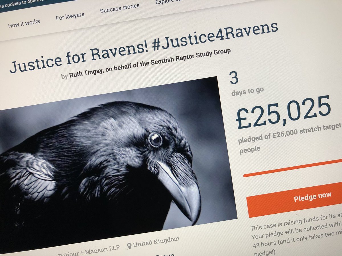 Chris Packham (@chrisgpackham) on Twitter photo Thank you ! Made it ! It’s never been more important to question the authority of wildlife management and conservation and now we can do this politely , peacefully and democratically . And we will - our Ravens need us . @RaptorPersScot <a href="/nature_scot/">Former NatureScot account</a> Thank you ! Made it ! It’s never been more important to question the authority of wildlife management and conservation and now we can do this politely , peacefully and democratically . And we will - our Ravens need us . @RaptorPersScot <a href="/nature_scot/">Former NatureScot account</a>