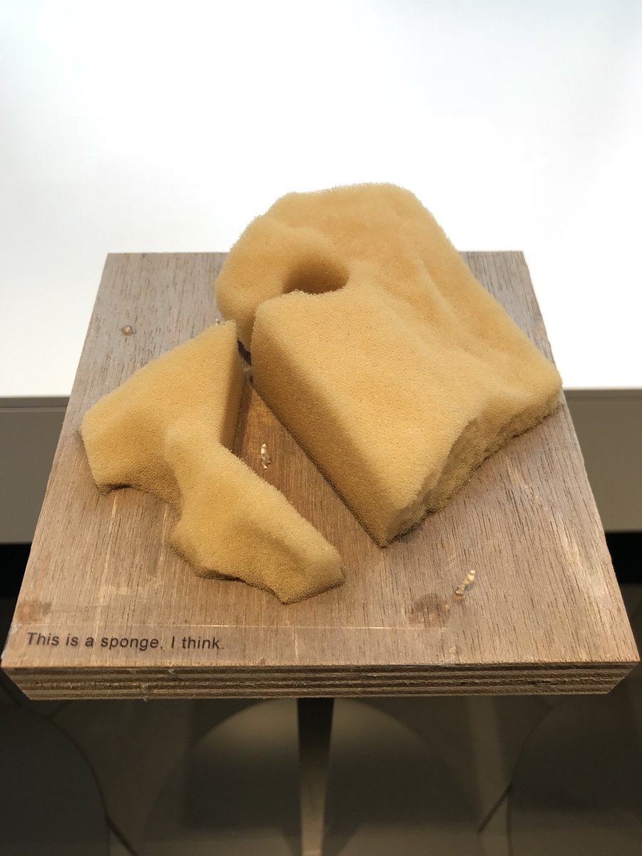 thomascsoo's tweet image. Everything is architecture #JapanHouse #SouFujimoto #ArchitectureIsEverywhere