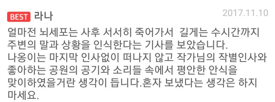Fireworks_9999's tweet photo. 스노우캣 작가가 키우던 고양이가 무지개 다리를 건너는 순간을 지키지 못해서 외롭게 보냈다고 너무 괴로워 하면서 건강해지면 데려가려했던 공원에 뒤늦게나마 데려가 같이 노을을 봤다는 만화에 이런 댓글 달려 잇엇다 https://t.co/F64DwIgx1u