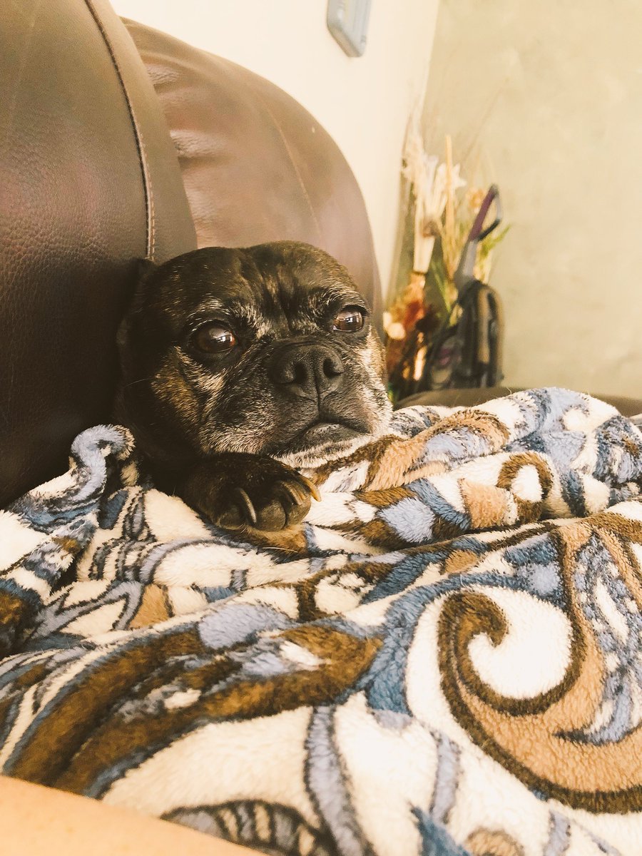 We all have that on friend who is always cold. It is 97* in Maryland and SMUG’s is like bring me another blanket, you want me to freeze to death don’t you!!!!