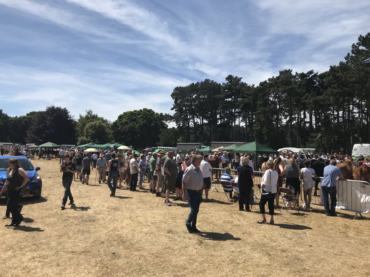 Malton Show tweet media