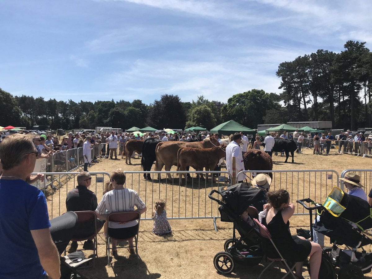 Malton Show tweet media