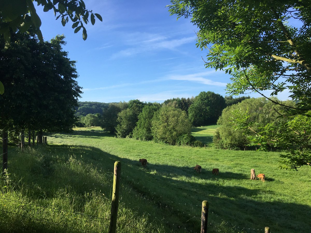 bashoogland's tweet photo. VOLG @Bergdorpje
RT DIT bericht en maak kans op weekendje Vijlen in een van de hotels/B&amp;B’s!
#jezulthetmaarwinnen #daarwaardebergenbeginn https://t.co/UjO3Mhhk7s