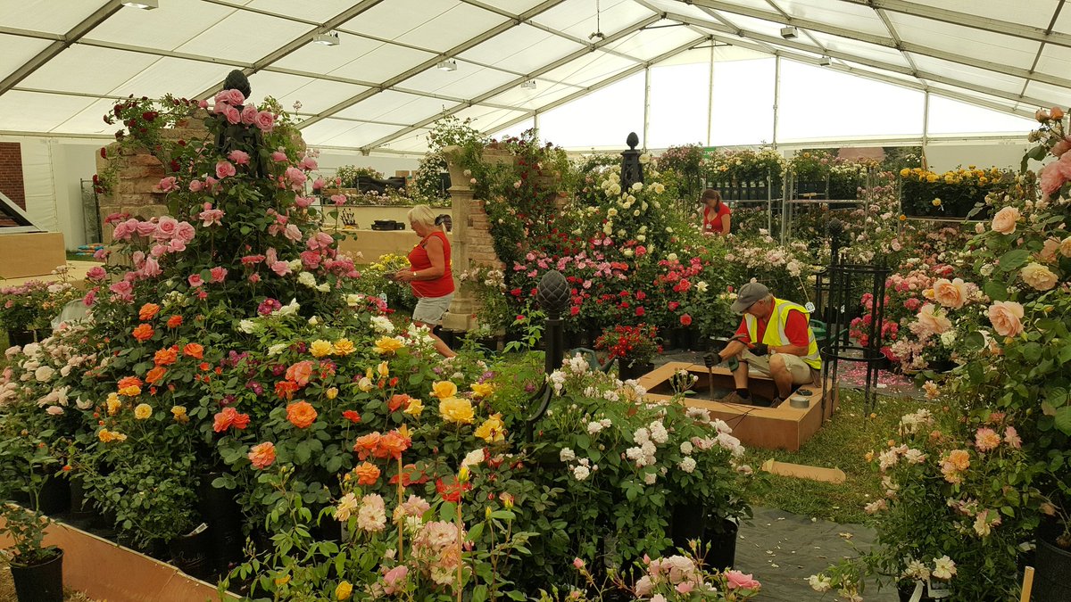 PeterBealesRose tweet picture