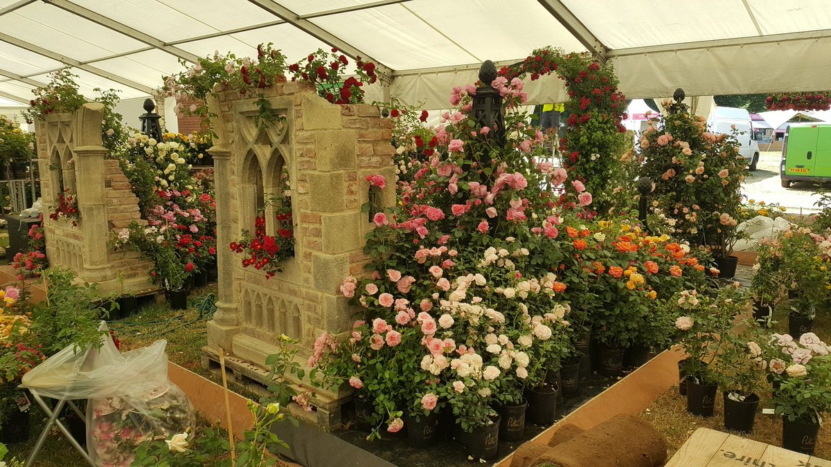 PeterBealesRose tweet picture