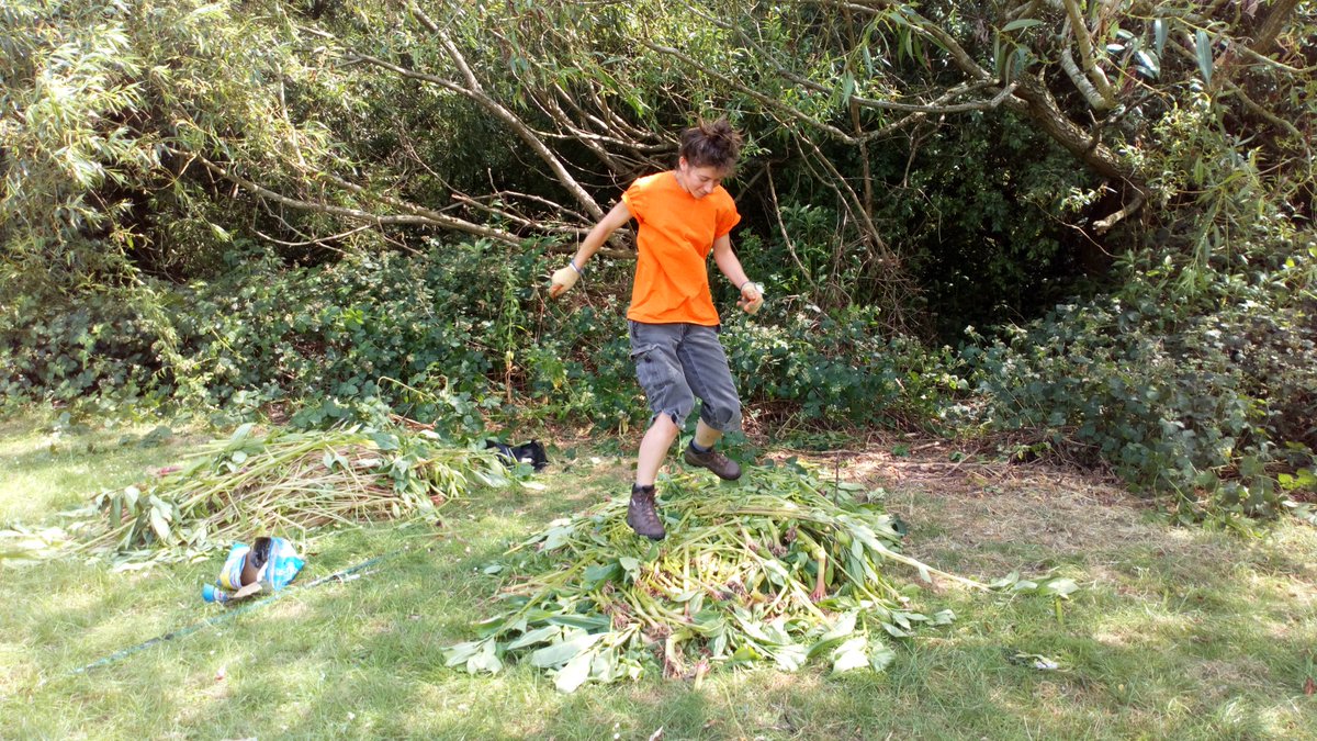 YourRiverBrent's tweet photo. Best fun ever! bashing Balsam at #WelshHarp #WestHendon ..caught before seeding! And litter picking too.. Still an hour to join us.. Come and find out all about INNS & @EnvAgency #trashscreen #EAOps here for questions and tour! https://t.co/cye3sXeg51