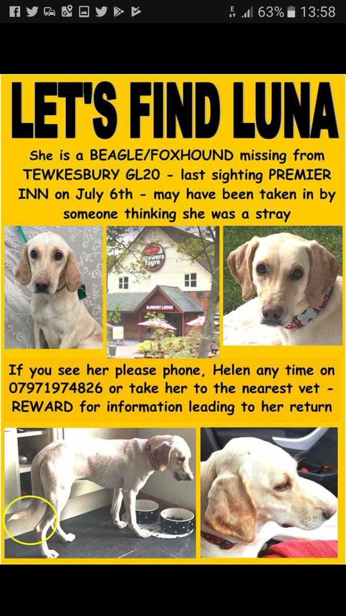 joannew0112's tweet photo. @NevilleSouthall could you please share
1 year ago today Luna went missing 💔
1 year of pain 💔
1 year of not knowing 💔
#letsfindluna #tewkesbury #reward https://t.co/0fnea9Ak2S