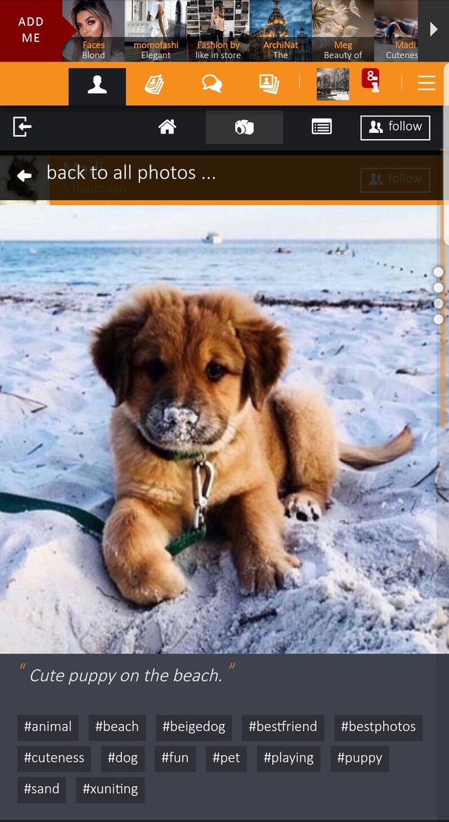 Xuniting's tweet photo. Cute puppy on the beach. :: #beigedog #dog #beach #sand #cuteness #puppy #playing #fun #animal #pet #bestfriend #bestphotos #xuniting

https://t.co/dyMPgQ5bOl https://t.co/IFKRglCPtU