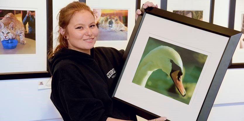 genindigenous's tweet image. The Cedar Ridge Creative Centre in Scarborough, Canada is showcasing a new exhibit, Awakening Our Creative Spirit, featuring 60 photographs taken by #IndigenousYouth. @scararts #CreativeNative 
buff.ly/2KxZLIA