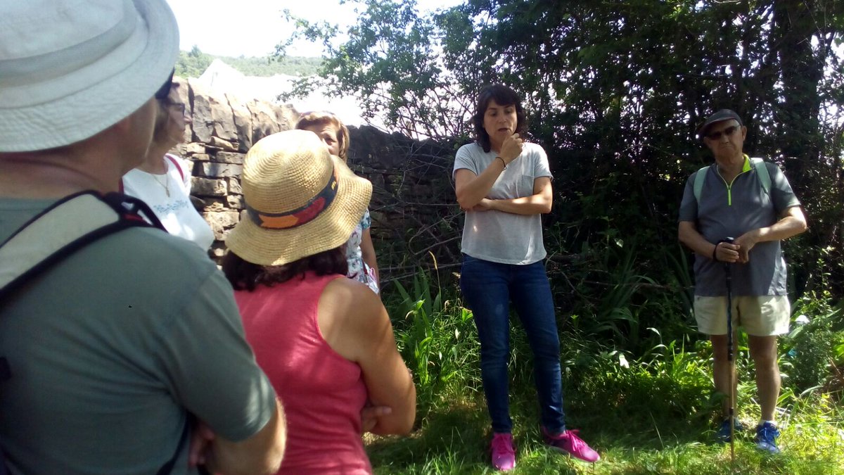 GobAragon's tweet photo. Tras visitar Santa Maria de #Espierre, han llegado a la finca de la Viñuala, donde se encuentran las viñas más altas de la Península en clima frío. Allí, el vino mejora en aroma, en extracción de taninos y en color. Lo ha explicado Pilar Gracia, de Bodegas Bal Minuta @ordesa100 https://t.co/NG4Yateq4P