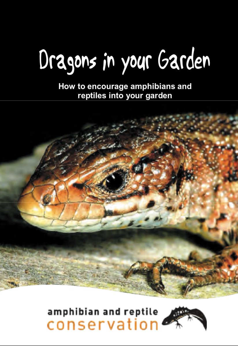 Gosh, who’s feeling hot! 🤒

With our varying temperature extremes here in the UK our wildlife really does need a variety of habitats to cope.

#DragonsInYourGarden has some great ideas.

What features do you have in your gardens?

@ARC_Bytes @ARGroupsUK 

arc-trust.org/Handlers/Downl…