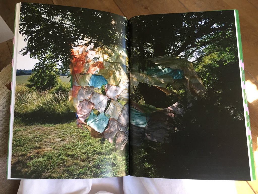 SusanSluglett's tweet photo. @Liz_Elton @FlorenceTrust A good read @Liz_Elton catalogue @FlorenceTrust @rbyrneblack #Painting #Environment #Installation https://t.co/EY3X5tvCAY
