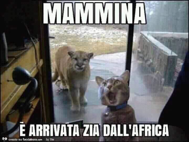 laurasarti's tweet photo. 😂😂😂😂🤣🤣🤣 https://t.co/VIipYGQLV2