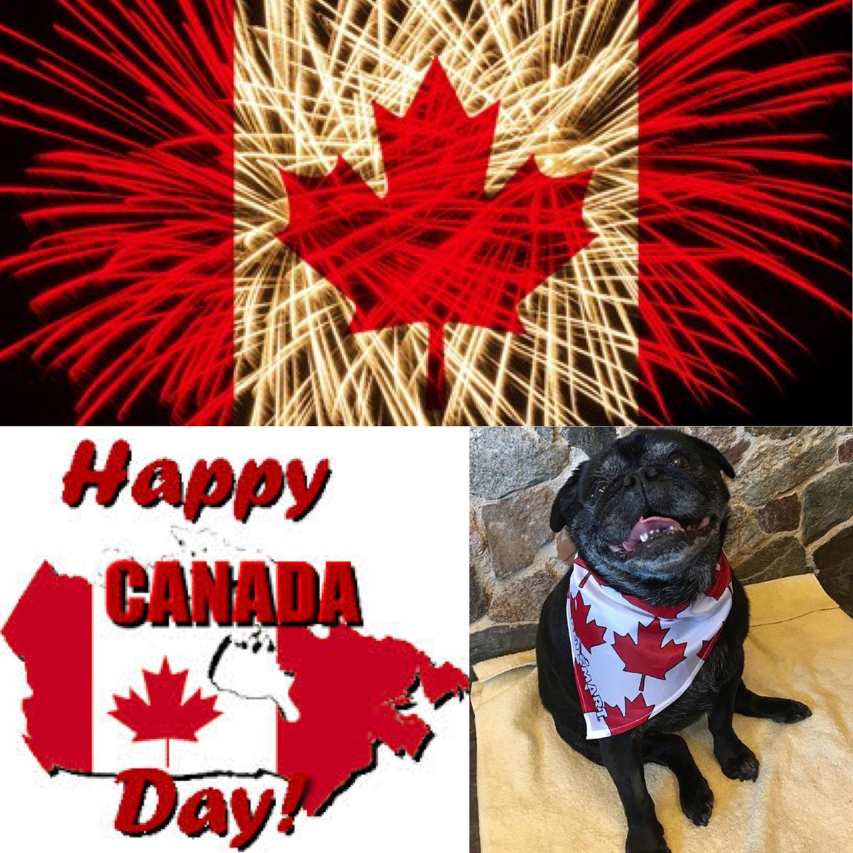 PrairieCrossFit's tweet image. Happy Canada Day from PCF and of course Pugsley! 🐶 🇨🇦 
Enjoy the festivities that help us celebrate our amazing Country! 
#canadaday #gymisclosed #gohavefun #winnipeg