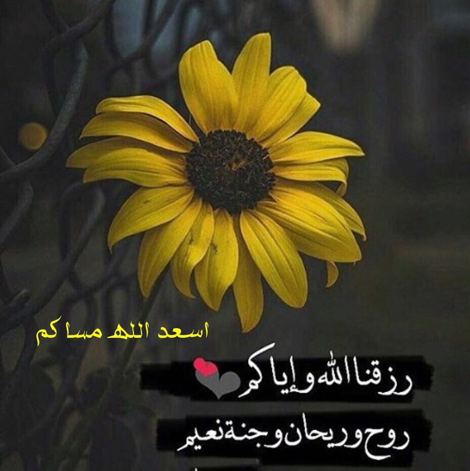 لطيفة الطعيمي (@l_altoaimi) on Twitter photo <a href="/alanoud888d/">الــ؏نـود⚘️</a> <a href="/Mh200922/">أم زياد.. دخول متقطع جدًا جداً ✋ 🌹🌱</a> <a href="/5JRose/">الجوري</a> <a href="/tt_nn7/">#غيوم_صامتة🇸🇦</a> <a href="/algnnh78/">💎جمال الحياة بذكر الله◇2💎</a> @hana3azam <a href="/haaya1312/">هيا سعد</a> <a href="/bosyzezo1/">الخنساء✒️</a> <a href="/KsaKiwi/">الماسه</a> <a href="/jorii_37/">☆ الشاااامخة ☆</a> <a href="/hno55r_aa7/">💙همس الغلا💙</a> <a href="/fooof_1010/">..الثريا👸🏼💛اخت الجميع</a> @omlugin20121 <a href="/slhahh/">Shah 💎</a> يا أكرم الأكرمين نسألك بركتك وعطفك ولطفك وعافيتك وبرك ورحمتك وحبك، نعوذ بك من تقلبات القلوب والأيام اعصمنا من المعاصي والآثام، اشغلنا بخير ما يرضيك عنا، احمنا من أذى الناس، اشغلنا بك عن همومنا اجعل الآخرة كل همنا.
🌺 <a href="/alanoud888d/">الــ؏نـود⚘️</a> <a href="/Mh200922/">أم زياد.. دخول متقطع جدًا جداً ✋ 🌹🌱</a> <a href="/5JRose/">الجوري</a> <a href="/tt_nn7/">#غيوم_صامتة🇸🇦</a> <a href="/algnnh78/">💎جمال الحياة بذكر الله◇2💎</a> @hana3azam <a href="/haaya1312/">هيا سعد</a> <a href="/bosyzezo1/">الخنساء✒️</a> <a href="/KsaKiwi/">الماسه</a> <a href="/jorii_37/">☆ الشاااامخة ☆</a> <a href="/hno55r_aa7/">💙همس الغلا💙</a> <a href="/fooof_1010/">..الثريا👸🏼💛اخت الجميع</a> @omlugin20121 <a href="/slhahh/">Shah 💎</a> يا أكرم الأكرمين نسألك بركتك وعطفك ولطفك وعافيتك وبرك ورحمتك وحبك، نعوذ بك من تقلبات القلوب والأيام اعصمنا من المعاصي والآثام، اشغلنا بخير ما يرضيك عنا، احمنا من أذى الناس، اشغلنا بك عن همومنا اجعل الآخرة كل همنا.
🌺
