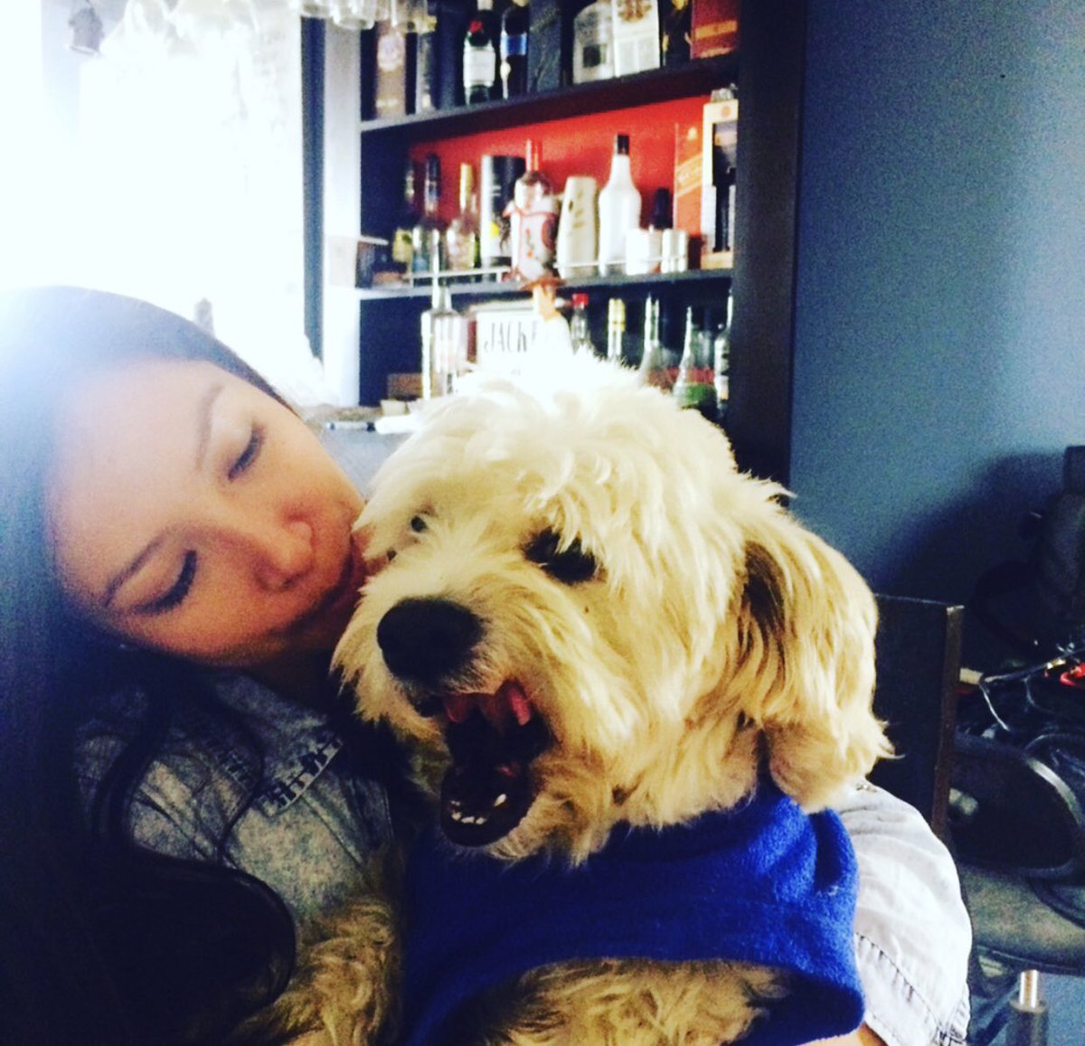 alissonbiamont's tweet photo. Hoy es el último día de mi bb con pelos blancos, su ciclo de vida terminó  y a pesar que no fueron muchos años, fueron los mejores, lo amo con todo mi ser y lo tendré presente en mi corazón por el resto de mis días. Gracias Marthin Mathias https://t.co/v0y1dLcbW0