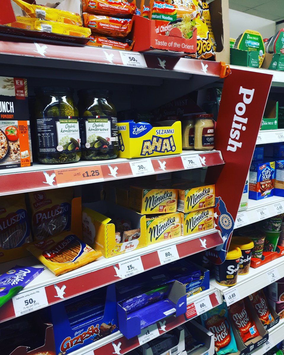 puma enzo knit nm wn's