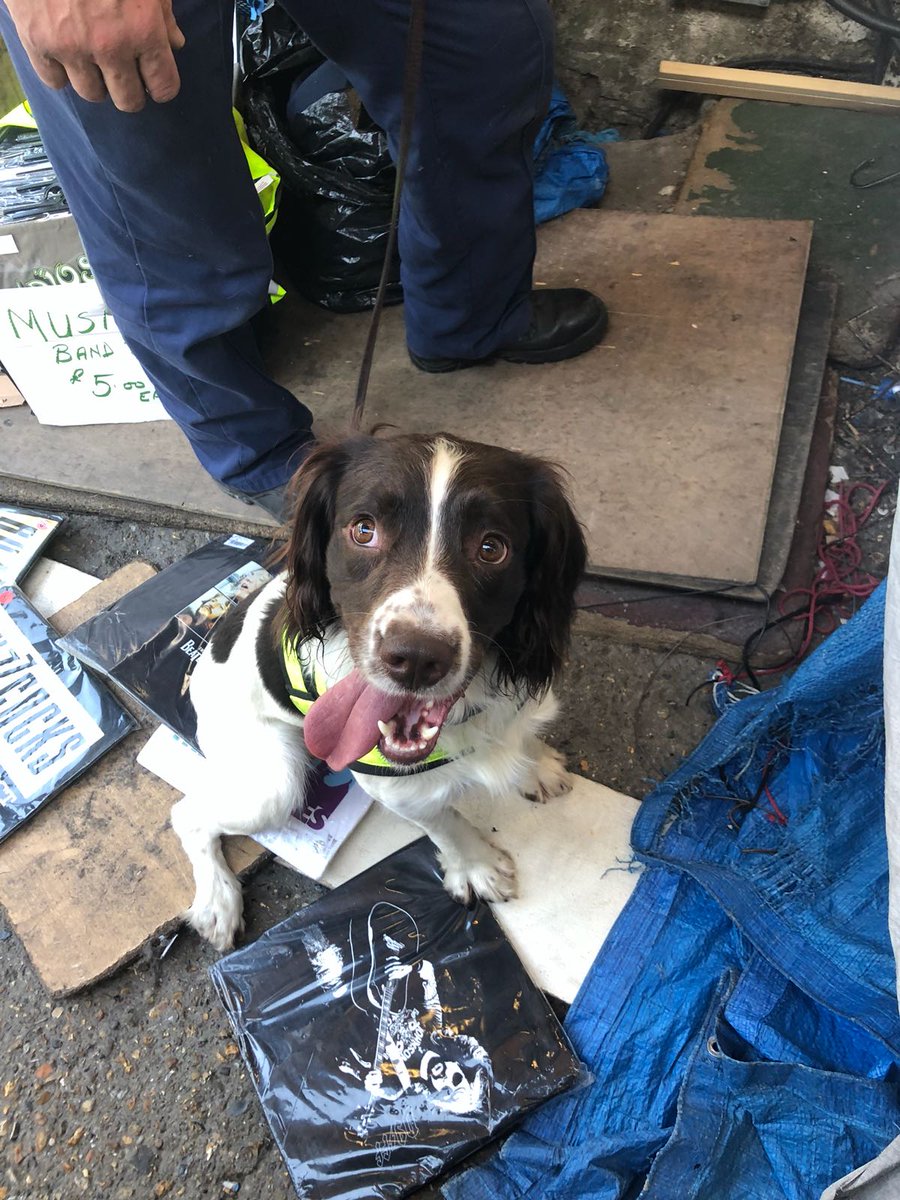 Yesterday officers from #sectorteam , @mpsregebts @MPSCamandPrim <a href="/MPSSpecials/">MPSSpecials</a> arrested 7 Male for supplying drugs. 120 bags of cannabis were found in a market stall in Buck Street, NW1. One vehicle made off and driver further arrested. Also thanks to @mpstaskforce