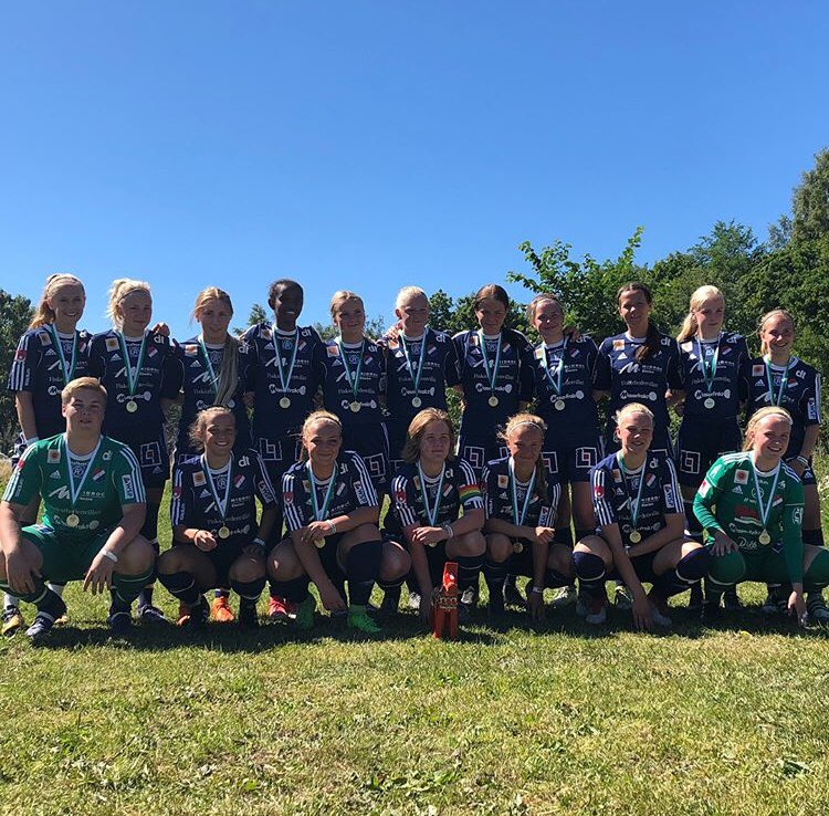 jonnarrosen's tweet photo. Seger i Dalecarlia Cup F15/16. Nu laddar vi om för Gothia🥇⚽️ https://t.co/GhFvVUKSFq
