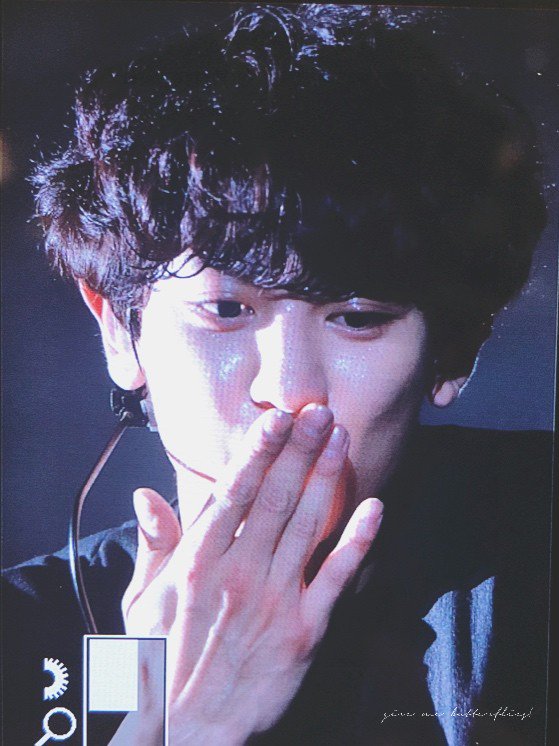 giveme_cy's tweet photo. 180701 ADVENTURE 3일 2회차 #찬열

뽀쪽 뽀쪽 주근다 진짜 세상 하... 뷰리푸루... https://t.co/9cw2d1GyEH