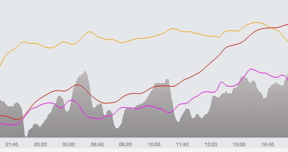 Daniel Sharp On Twitter That Rapidly Rising Heart Rate And