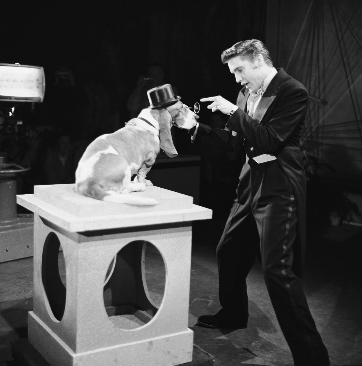 Socially Elvis Elvishistory 1st July 1956 Elvis Appeared On The Steve Allen Show Singing Hound Dog To A Bassett Hound T Co 4pju0g0qok Twitter
