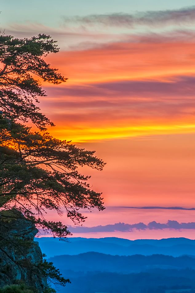 Michiko Martin tweet media