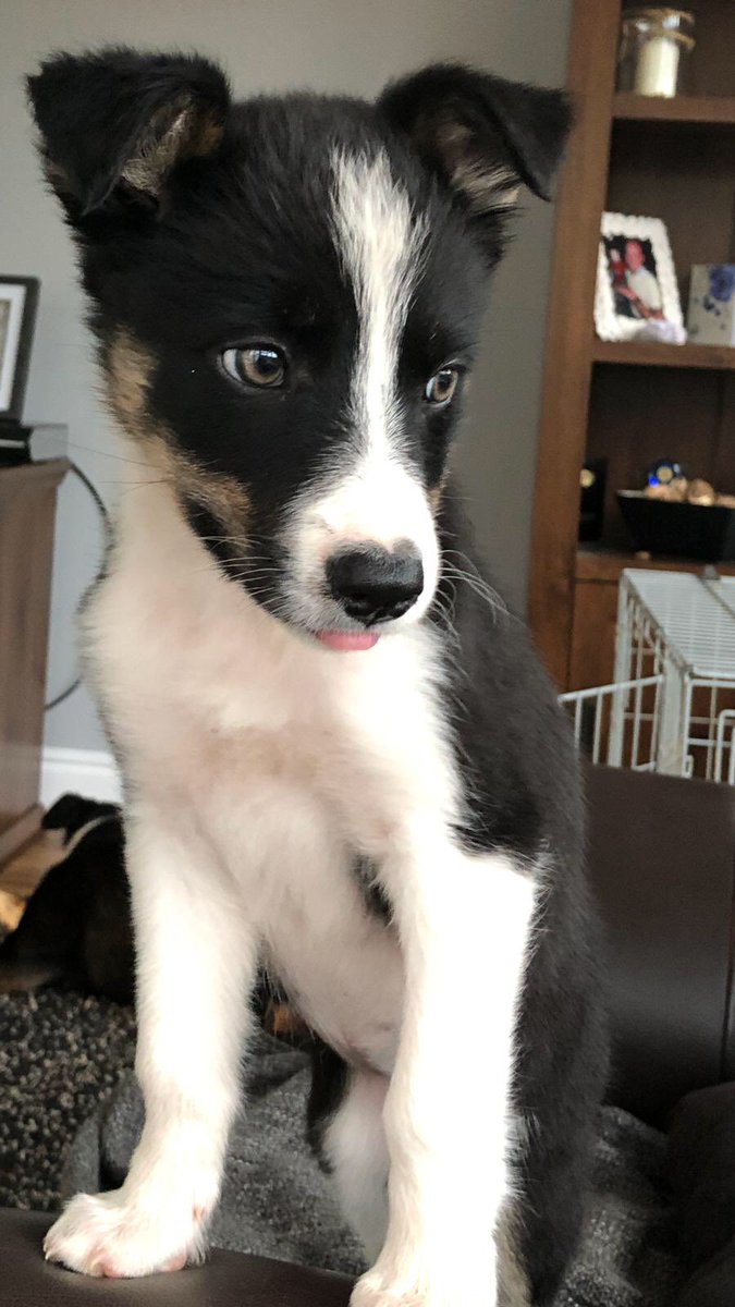 Ted aka Teduardo 2005-2019 🌈 tweet media