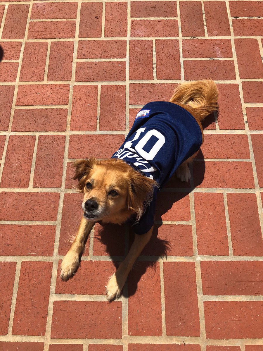 PatrickLaJolla's tweet photo. #SDinHD https://t.co/g0It4Mj4e5