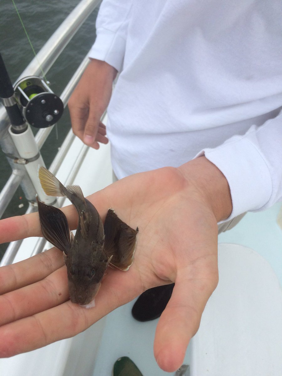 BackwoodAngler's tweet photo. OBX 18 https://t.co/7ORYQwfNj5