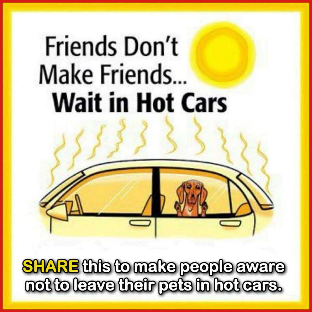 RhylcommunityForum tweet media