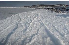 凍るのtwitterイラスト検索結果 古い順