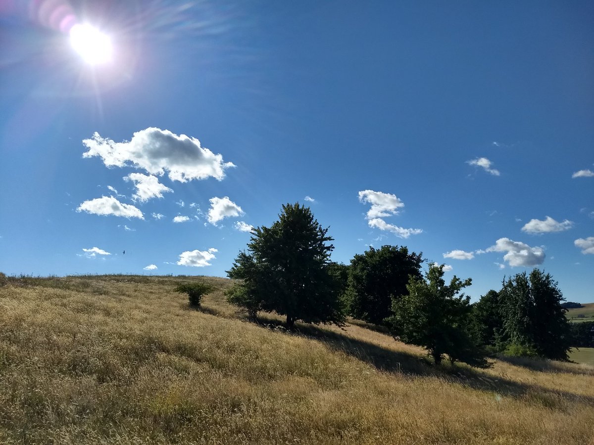 kenarild's tweet photo. On top of the world! Eh, på toppen av Klein Zicker ved Thiessow her på Rügen i hvertfall! På toppen står det et informasjonsskilt om svensk-Pommern! Utrolig flott tur i tysk sommervær! :) #ontopoftheworld #kleinzicker #thiessow #rügen https://t.co/Pyv9su1eFg