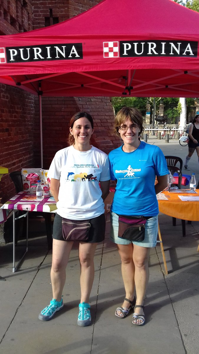 Festes del Animals tweet media