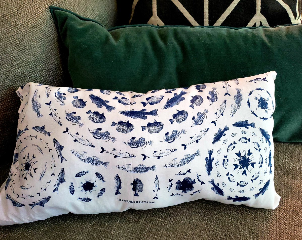 todd_lanham's tweet photo. My daughter Makena found a great way to reuse our @TheParklands membership renewal gift. #Parklandspillow #Fishpillow https://t.co/mbLYWT8AxT