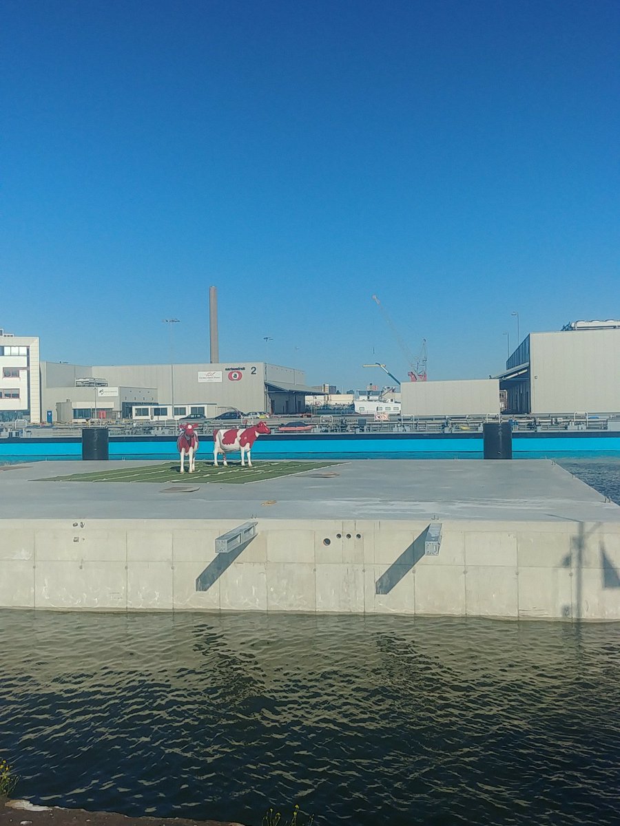 Albert Boersen tweet media