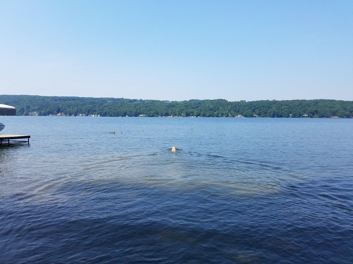 2shallowdivers's tweet photo. Spending the weekend with a dog who must be part fish. Not going under the water this weekend but at least nice to be out on the water. https://t.co/XzL5CiOpUT