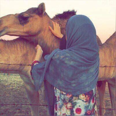 جنّةً يا الله لفقيدٍ ترك الحياةَ مظلمةً وأماتنا شوقاً إليه🍃.