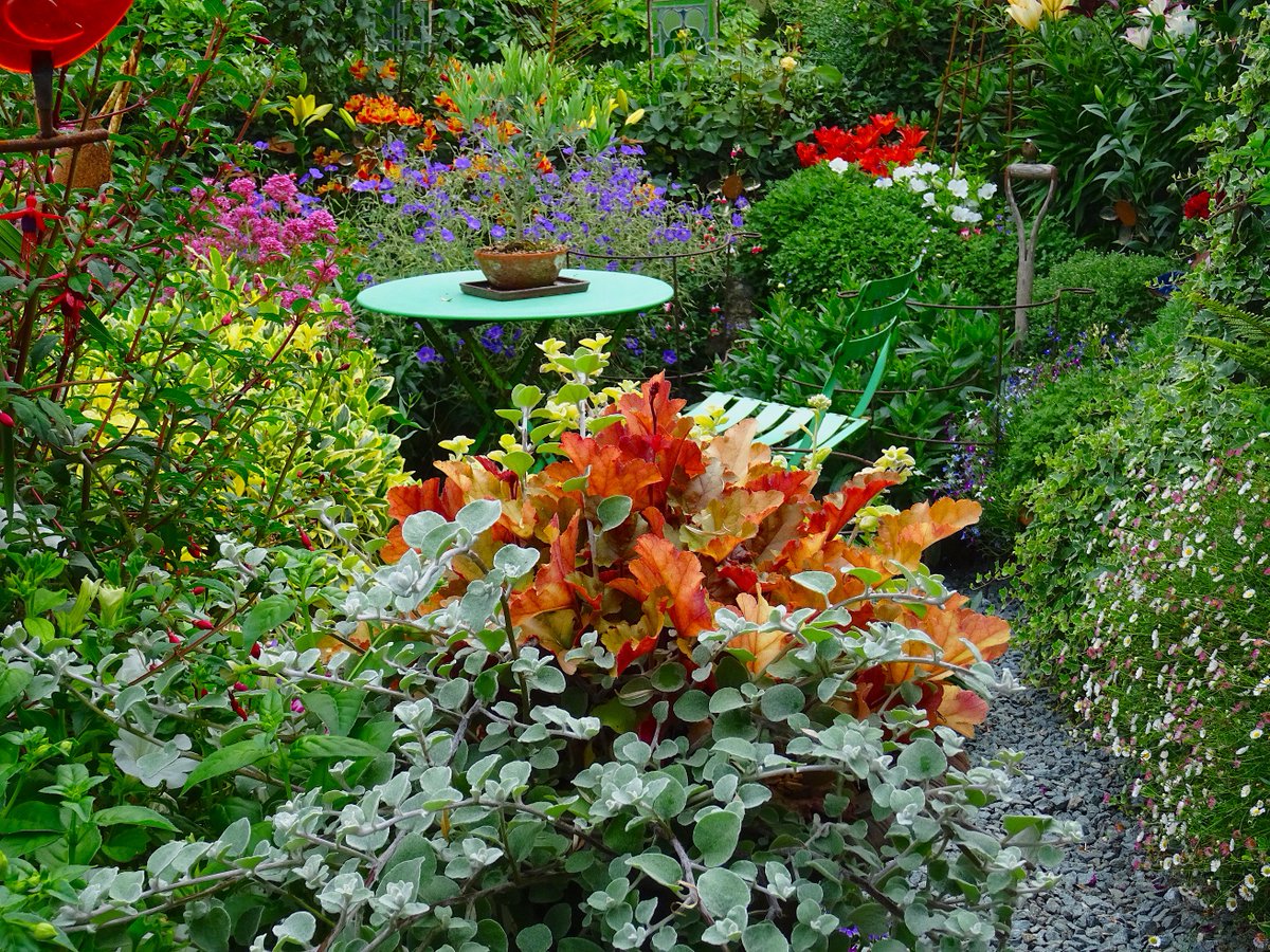 driftwoodbysea's tweet photo. Garden looking wonderful this evening after the sun disappeared for a while, still extrememly hot though! https://t.co/jaAgFAiIcy All ready for coach from @HGSHortSoc  tomorrow morning! https://t.co/STSV2SqKhY