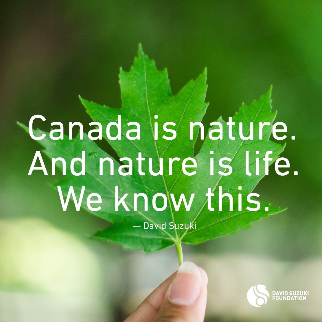 David Suzuki FDN tweet media